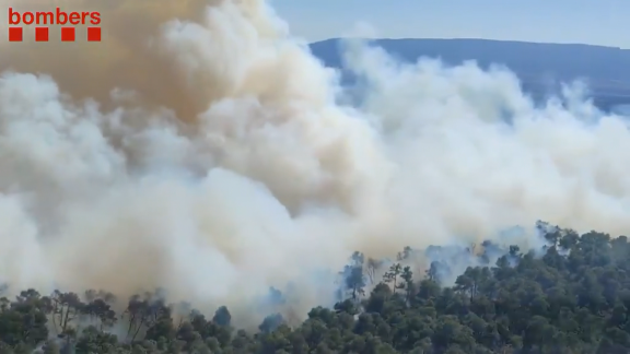 Más de 30 hectáreas calcinadas por el fuego en Tarragona