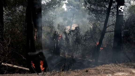 El calor trae los primeros incendios forestales en Europa