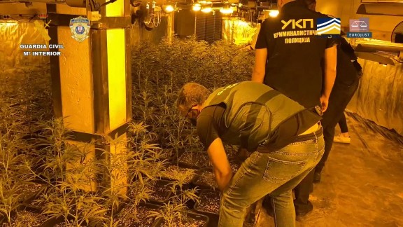 Una iglesia ortodoxa de Zaragoza ocultaba una plantación de marihuana