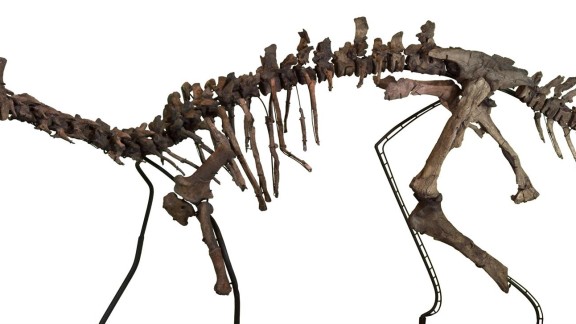 Un dinosaurio ornitópodo, primo lejano del Iguanodon, pudo ser tan listo como sus parientes carnívoros