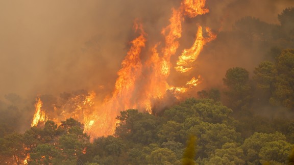 Muere un bombero en el incendio forestal de Sierra Bermeja