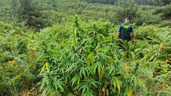La Guardia Civil interviene una tonelada de marihuana en el Sobrarbe