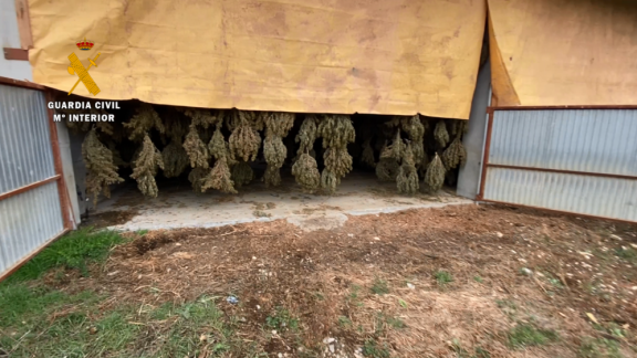 Intervenidas ocho toneladas de marihuana en una fábrica de cáñamo industrial