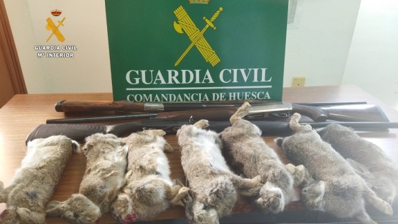 Detenidos tres jóvenes por caza furtiva de conejos en Almudévar