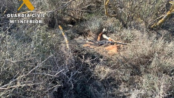 Dos investigados en la comarca de los Monegros por maltrato animal