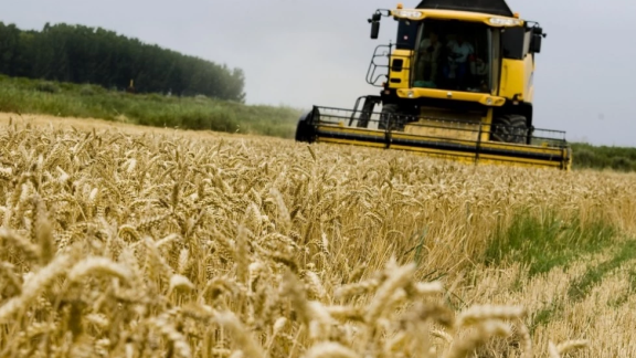 El campo aragonés espera una cosecha de cereal de invierno dentro de la media