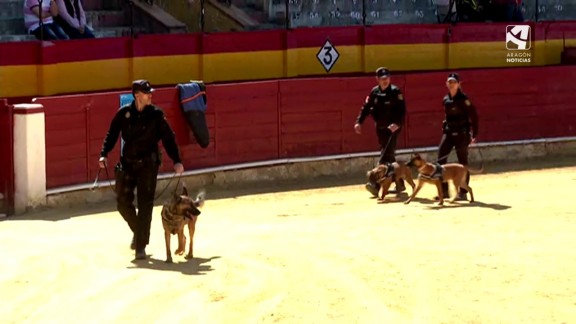 Los compañeros caninos de la Policía se exhiben en Calatayud en solidaridad con Ucrania