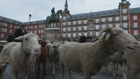 Las ovejas toman el centro de Madrid en la Fiesta de la Trashumancia