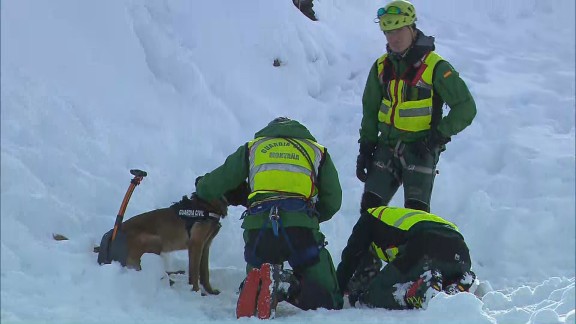 Simulacro de rescate en avalancha con perros en el Pirineo