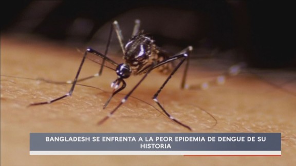 Bangladés se enfrenta a la peor epidemia de dengue de su historia