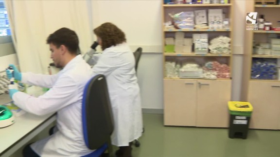 Un equipo liderado por la Universidad de Zaragoza investigará si la inmunoterapia es efectiva antes de aplicarla al paciente con cáncer