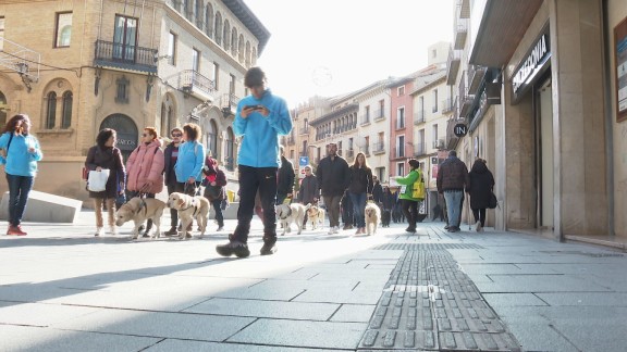Un paseo por las calles de Huesca con cuatro patas extra el día a día de los invidentes y sus perros guía