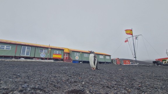 Investigación en condiciones extremas: así apoyan los militares españoles a los científicos en la Antártida