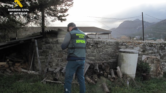 La Guardia Civil investiga a una vecina de Huesca por la muerte de cinco perros