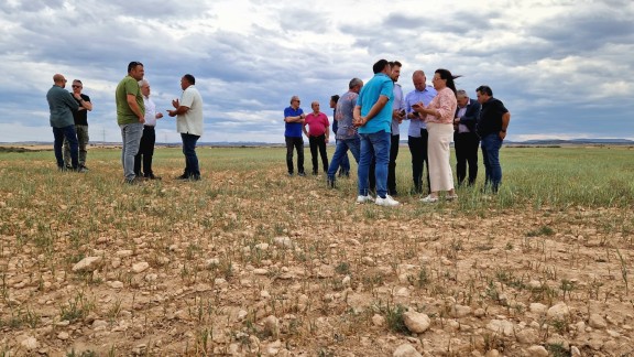 Un total de 12 zonas afectadas por sequía en Aragón pueden optar a ayudas de flexibilización de la PAC