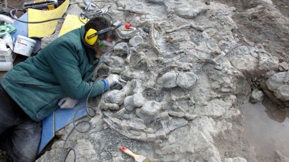 Los investigadores analizan fósiles para el estudio del estegosaurio en el Castellar de Teruel