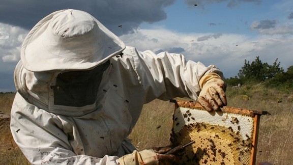 El precio de la miel envasada sube un 16,5% en un año y se paga por encima de los 7,5 euros el kilo