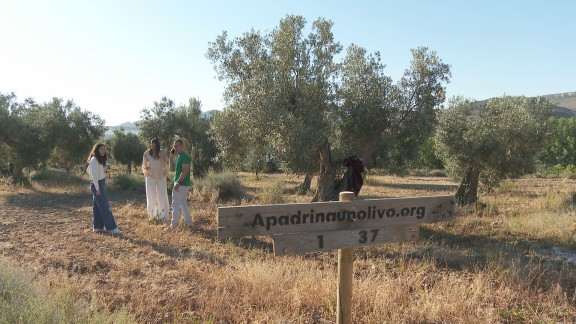 ‘Apadrina un olivo' cumple diez años luchando contra la despoblación desde Oliete