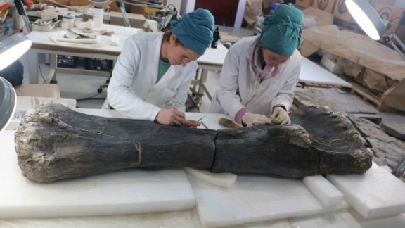 Dinópolis muestra por primera vez los fósiles de dos dinosaurios gigantes