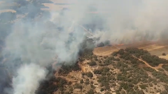 Controlado el incendio forestal de la localidad oscense de Albero Alto