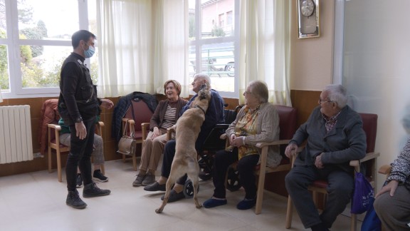 Los animales de compañía protagonizan ‘Son mis amigos’, el nuevo programa de Aragón TV