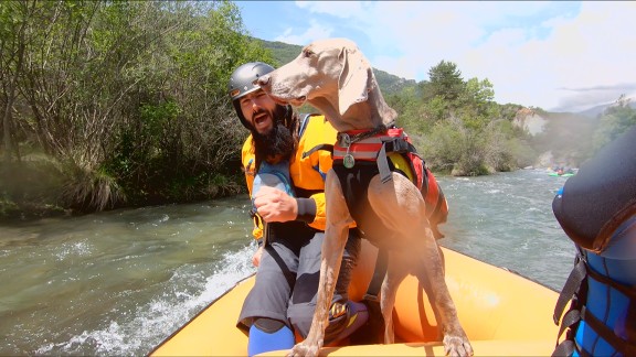 ‘Son mis amigos’ practica rafting con mascotas