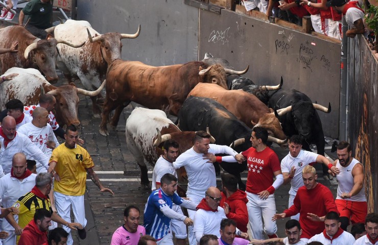 Cuarto encierro de los Sanfermines con toros de la ganadería La Palmosilla este domingo en Pamplona. (EFE/ José Luis Larrión).