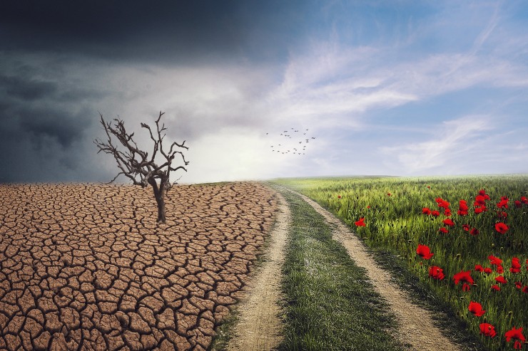 Imagen de los efectos del cambio climático. / Pixabay