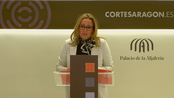La portavoz parlamentaria del PSOE, Mayte Pérez.