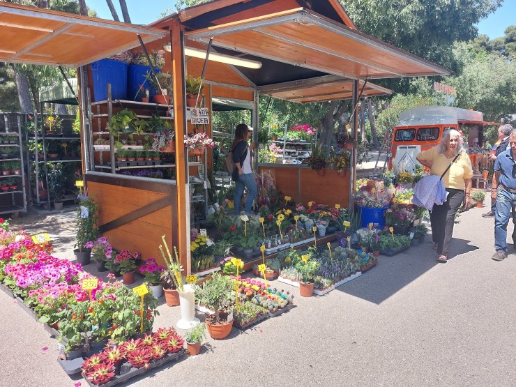 Mercado de las Flores en Zaragoza Florece 2024./ Europa Press