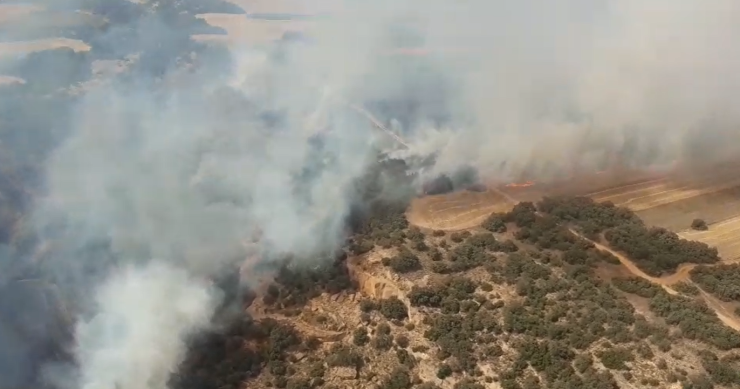 Un incendio forestal se ha declarado esta tarde en Albero Alto, Huesca. / Gobierno de Aragón